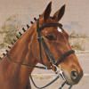 Foto-Fertig-13x18.jpg